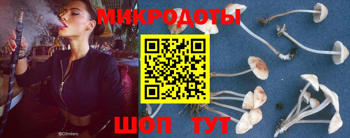 Псилоцибиновые грибы Cubensis  Вход с VPN  Красноуфимск  Галлюциногенные грибы Magic Shrooms 